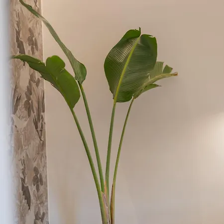 Le Fleur *